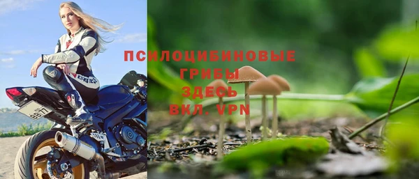 эйфоретик Карпинск