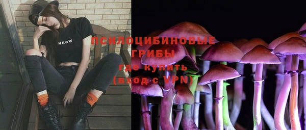эйфоретик Карпинск