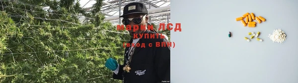 эйфоретик Карпинск