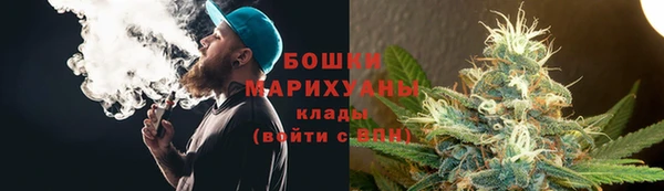 эйфоретик Карпинск