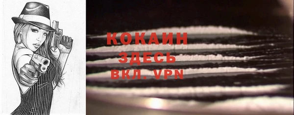 эйфоретик Карпинск