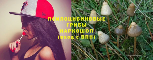 Альфа ПВП Карталы