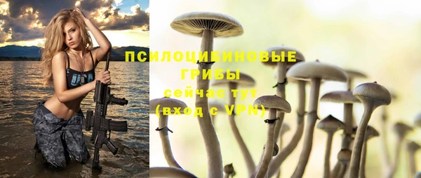 Альфа ПВП Карталы