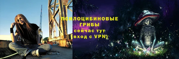 эйфоретик Карпинск