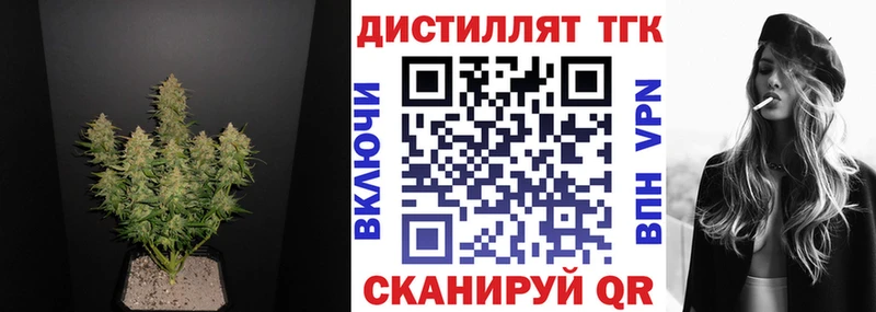 MEGA как зайти  Снежногорск  Дистиллят ТГК THC oil 