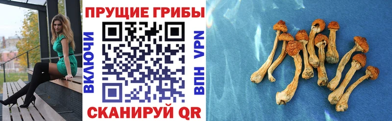 Галлюциногенные грибы MAGIC MUSHROOMS  Снежногорск 