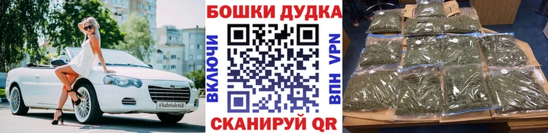 МЕГА как войти  даркнет наркотические препараты  Каннабис OG Kush  Снежногорск 